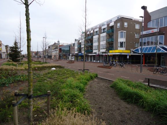 Breestraat_1_januari_2019_AGP~0.JPG