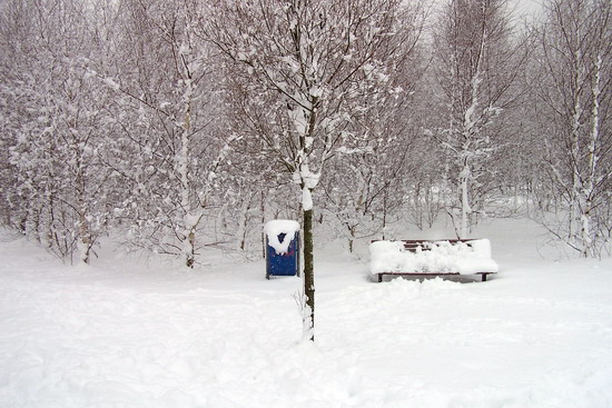 Overbos
Park Overbos in winterpracht.
Keywords: bwijk Overbos