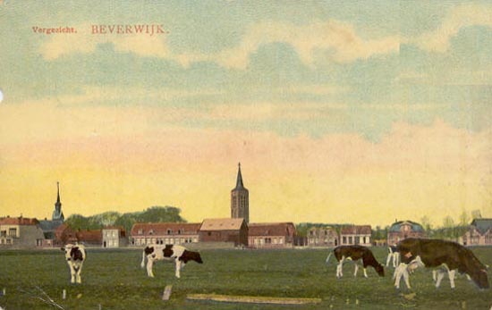 Hendrik Mandeweg
Gezicht op de Hendrik Mandeweg aan het begin van de vorige eeuw. Op de achtergrond is rechts de Ned.Herv.Kerk te zien met nog de oude spits. Dat betekent in ieder geval dat de foto dateert van voor 1912, immers toen werd de spits door de torenbrand vernield. Ook op de achtergrond is te zien de oude St.Agathakerk aan de Peperstraat. Deze kerk werd in 1924 gesloopt. Over de kerk schrijven wij elders nog wel het een en ander. Het weiland op de voorgrond behoorde oorspronkelijk bij het klooster Maria van Sion, vandaar de naam Munnikenweide. De meeste panden zijn gesloopt om plaats te maken voor nieuwbouw. De eerste nieuwbouw kwam in 1948 gereed en de straten kregen de namen van leden van het koninklijk huis, de prinsessen Beatrix, Irene, Margriet en Marijke (thans Christina), alsmede de Nassaustraat, Kroonstraat en Oranjestraat. Ook de fabriek van spoorwegrijtuigen welke omstreeks deze tijd van Haarlem naar Beverwijk kwam werd vernoemd, de Beijneslaan.\r\nBeijnes is al lang weer verdwenen, op deze plaats is thans het zgn Marloterrein. Op een deel van het weiland werden in 1930 de voetbalvelden van de Kennemers aangelegd. Door stadsuitbreiding moest het sportpark in 1957 verhuizen naar het nieuwe sportpark Adrichem aan de St.Aagtendijk. De straat werd eerder Cornelis Amsestraat genoemd naar de boer die woonde op de hoek van de Hendrik Mandeweg en Alkmaarseweg. Cornelis Amse was tevens raadslid van de gemeente Beverwijk. Hendrik Mande was uit onze streek afkomstig en was schrijver aan het hof van Graaf Willem VI van Holland. Getroffen door de prediking van Geert of Gerhard Groote (Nederlands Theoloog en prediker te Deventer), zei hij zijn werelds leven vaarwel en sloot zich bij de Broederschap van Groote aan.
Keywords: Hendrik Mandeweg bwijk oranjebuurt