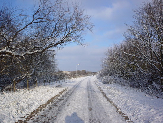 van Oldenborghweg 
van Oldenborghweg in de winter.

foto: Peter Westerhoven
Keywords: van Oldenborghweg waz