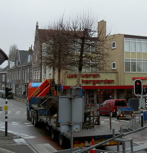 Breestraat
Breestraat. Het verplaatsen van de bomen uit de Peperstraat hoek Breestraat naar de moskee aan de Brink.
foto: Jannie Raaijmakers 2006
Keywords: Bwijk Breestraat