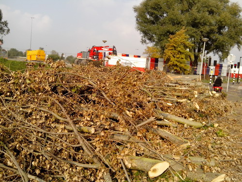 Aagtenpoort
Bomenkap t.b.v. realisering tunnel onder spoorlijn.
4 otoberber 2015
Keywords: Bwijk Spoorsingel