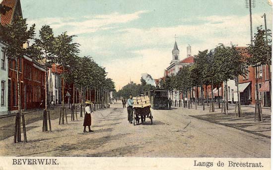 Breestraat
Dit is wel een echt oudje, de Breestraat rond 1900, met als onderschrift 'Langs de Breestraat'. Nu is dat niet helemaal juist, immers het is een foto genomen vanaf de Velserweg, met links en rechts wel heel oude bebouwing. Hieraan is duidelijk te zien dat de Breestraat toen nog geen echte winkelstraat was, maar dat er nog talloze huizen bewoond waren. Het raadhuis op de achtergrond heeft zijn klokkentoren en het andere torentje had alles met de telefoon te maken, er was n.l. vroeger een 'echte' telefooncentrale in het raadhuis. Mej.A.Schols bediende de 'centrale' welke in eerste instantie 50 aansluitingen had. De centrale werd geëxploiteerd door de Nederlandsche Bell Telefoon Maatschappij.
Wat te denken van de kar met aardbeien en de stoomtram Haarlem-Alkmaar op de achtergrond. De stoomtram werd in de volksmond ook wel de moordenaar genoemd omdat de tram heel wat ongelukjes op zijn geweten had, voor zover een tram een geweten heeft.
De bestemming van de kar met aardbeien zal wellicht het station zijn, de aardbeien werden daar in wagons geladen en verder vervoerd.
Keywords: Breestraat