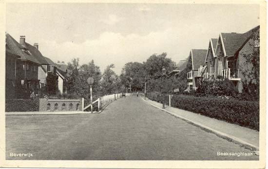 Beeckzanglaan
Het Beverwijkse deel van de Beeckzanglaan wordt anders geschreven dan het Velsense deel, daar schrijft men "Beecksanghlaan". Op de ansichtkaart staat het dus verkeerd geschreven. De foto is rond 1950 genomen op de hoek met de Vondellaan, daar waar het verkeer vanaf de Vondellaan moet afbuigen richting Zeestraat. De naam van de straat heeft alles te maken met Joost van den Vondel die tijdens zijn verblijf op Scheijbeeck zijn dichterlijke ader rijkelijk liet vloeien en o.a. dichtte: "Beeckzang aen Katharine". 
Keywords: beeckzanglaan bwijk