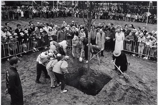 Nationale Boomfeestdag
Op de Nationale Boomfeestdag helpt de Koningin (met hoed), met het planten van een boom te Beverwijk. 20 Maart 1991 in overbos met o.a \r\nPiet Rinkel, Ger Hermes, burgemeester F. Vlasblom, Cor Durge.

foto J de Swart
Keywords: bwijk personen