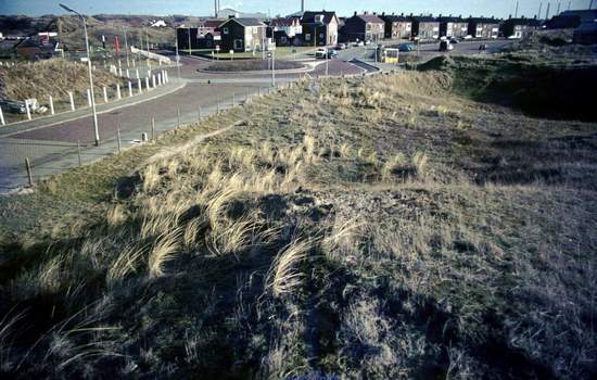 Dorpsduinen
Keywords: waz Dorpsduinen