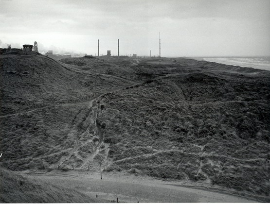 Duinen 1963
De duinen gezien vanaf het Hoge Duin richting de pier met links de Hoogovens 1963

foto Patrick Schelvis
Keywords: Duinen waz