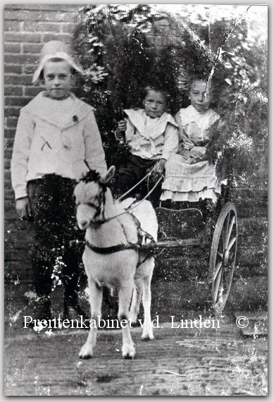 Bedrijven Beverwijk
Versierde bokkewagen tijdens Koninningendag waarmee de 1e prijs werd behaald. in de wagen G. Steevens en Elsje Steevens. Bij de bok P. Steevens   eigen foto
Keywords: bwijk steevens bokkewagen