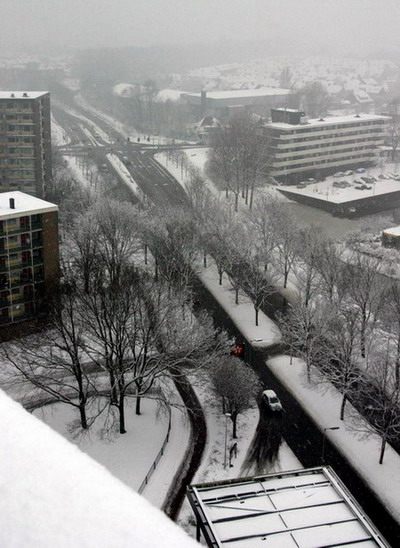 Plesmanweg
Plesmanweg in de sneeuw op 2 maart 2005. foto vanaf stadskantoor gemaakt.

Dr. Albert Plesman werd geboren op 7 september 1889 te Den Haag en over- leed er op 31 december 1953. Plesman was een luchtvaartpionier. Als beroepsofficier kwam hij in 1915 bij de militaire luchtvaartafdeling in Soesterberg en hij behaalde in 1918 zijn militair vliegbrevet. In 1919 organiseerde hij de Eerste Luchtverkeer Tentoonstelling in Nederland. Kort daarop leidde dit tot de oprichting van de KLM, waarvan hij administrateur werd. Na de Tweede Wereldoorlog werd hij benoemd tot president-directeur van de KLM. Vooral door zijn stuwkracht groeide de KLM uit tot één van de grootste luchtvaartmaatschappijen ter wereld. De Technische Hogeschool te Delft verleende hem in 1947 een eredoctoraat. De Internationale Organisatie voor de Burgerluchtvaart verleende hem postuum als eerste de gouden Edward Warner-medaille voor ”buitengewone verdiensten voor de ontwikkeling van het internationale burgerluchtverkeer
Keywords: Plesmanweg bwijk