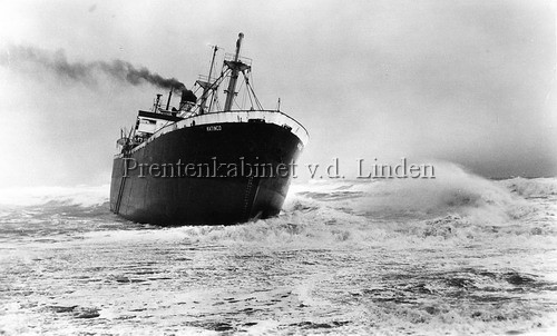 KNZHRM
Het is lang geleden dat het Panamese vrachtschip Katingo in een zware storm komt en in de problemen raakt. Het 7000 ton metende vrachtschip was onderweg van Rotterdam naar Hamburg toen het stuurloos raakte en ten noorden van Egmond aan Zee thv Bergen vastliep op strand. Er staat op dat moment een zeer zware storm die toeneemt tot orkaankracht. De strandreddingboot kan onmogelijk uitvaren, vanuit Den Helder en IJmuiden zijn de havenreddingboten onderweg.

De wipperploeg van Egmond aan Zee weet onder hachelijke omstandigheden contact te maken met het in nood verkerende schip. Door middel van seinen wordt duidelijk dat bemanning nog niet van boord wil omdat het te donker is om een goede verbinding te maken. Ondertussen zijn de reddingboten van Den Helder en IJmuiden teruggeroepen omdat de Katingo te hoog op strand ligt. Als het licht begint te worden haalt de Egmondse Wipperploeg 30 bemanningsleden van boord met behulp van het Wippertoestel. Als het licht is geworden blijkt ook pas hoe hard het gewaaid heeft die nacht, de verf van de koplampen van de Wippertruck is geheel verdwenen.

De Katingo zou nog enkele maanden op het strand blijven liggen omdat het weer telkens te slecht was. De Katingo wordt op 20 februari 1955 door de Wijsmuller sleepboten Stentor, Cycloop, Hector en Nester vlot getrokken en naar Rotterdam gesleept.

Keywords: waz katingo