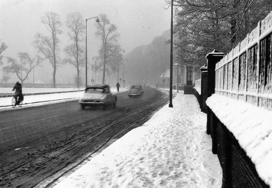 Velserweg
Velserweg in de sneeuw richting Velsen Noord   Foto Hans Blom
Keywords: bwijk velserweg