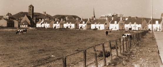 Zeecroft Wijk aan Zee
Zeecroft met dorpsweide
Keywords: waz dorpsweide