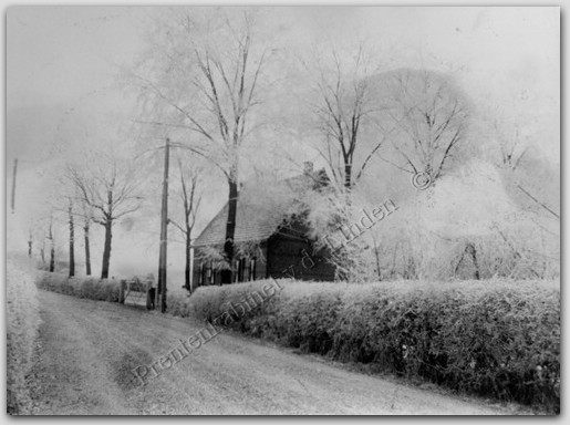 Personen
De Boerderij van Dhr. C. Joor gelegen aan de Westerhoutweg   Foto Prentenkabinet J. v.d. Linden
Keywords: bwijk joor westerhoutweg