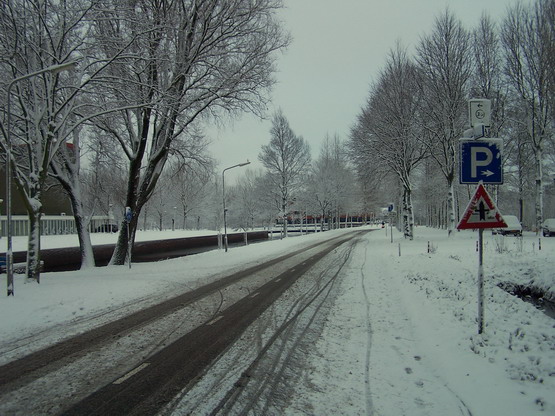 Winter in Beverwijk
Hoflanderweg in de sneeuw
Keywords: bwijk hoflanderweg