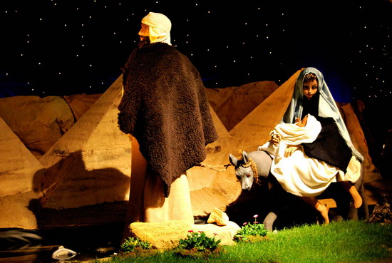 Kerststal 2008
Kerststal 2008 in de agathakerk aan de Breestraat te Beverwijk

foto L Hendriks
Keywords: bwijk Kerststal 2008