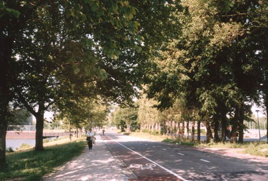 Hoflanderweg
De Hoflanderweg anno 2003 in de richting Laan der Nederlanden. Links zien we de sporthal liggen. De Hoflanderweg is sinds jaren geen doorgaande weg meer. Alleen voor langzaam verkeer en de NZH bus.
Keywords: Hoflanderweg