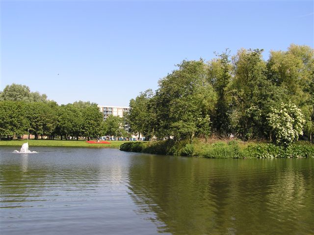 Oosterwijk
Oosterwijkvijver tussen Beneluxlaan Italielaan en Laan der Nederlanden.
Keywords: oosterwijk bwijk