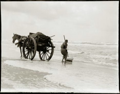 De schelpenvisser
De schelpenvisser aan het werk, hij viste de schelpen uit zee, om ze daarna naar de Stet(weg) te rijden, vandaar uit gingen ze naar de kalkovens in o.a. Akersloot.
Keywords: waz schelpenvisser