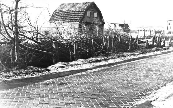 Bankenlaan
Over de Bankenlaan is zeer weinig bekend. De weg is al heel oud. De geschiedschrijvers zijn het redelijk met elkaar eens dat het stuk grond waarover de Bankenlaan loopt van ’n vastere grondsoort moet zijn dan de omringende gronden. Deze strook grond was dus niet bruikbaar als tuindersgrond, maar uitstekend geschikt om als doorverbindingsweg te dienen. De Bankenlaan kwam in het nieuws omdat hier in de kassen van Van Bragt de eerste vestiging van de Vomar is begonnen. Enkel jaren geleden heeft men zowel de weg als het groen in zijn totaliteit vernieuwd. Op de linkerfoto een rommelige en kale vlakte met op de achtergrond de Warandaflat die boven alles uit steekt.

Bron: boek “Dit was Beverwijk”, auteurs: J.M. Van der Linden/ W. A. Spruit
Bewerking: Co Backer
Keywords: bwijk Bankenlaan