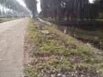 Filename=2015-10-04_aagtenpoort_en_spoorsingel_17_Formaat_wijzigen.jpg
Filesize=99KiB
Dimensions=500x375
Date added=Jan 04, 2016 2015-10-04_aagtenpoort_en_spoorsingel_17_Formaat_wijzigen.jpg