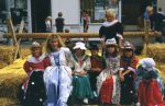 Filename=vlksfst-333 agp.jpg
Filesize=80KiB
Dimensions=500x325
Date added=Nov 09, 2009 vlksfst-333 agp.jpg